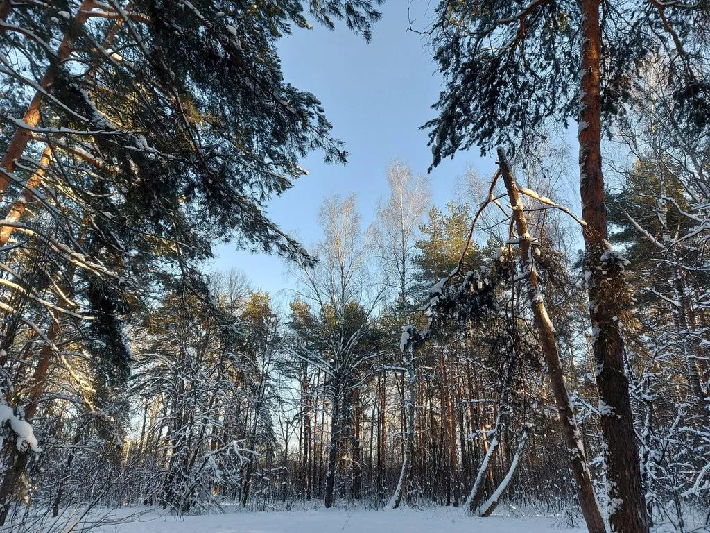 Чайная беседка