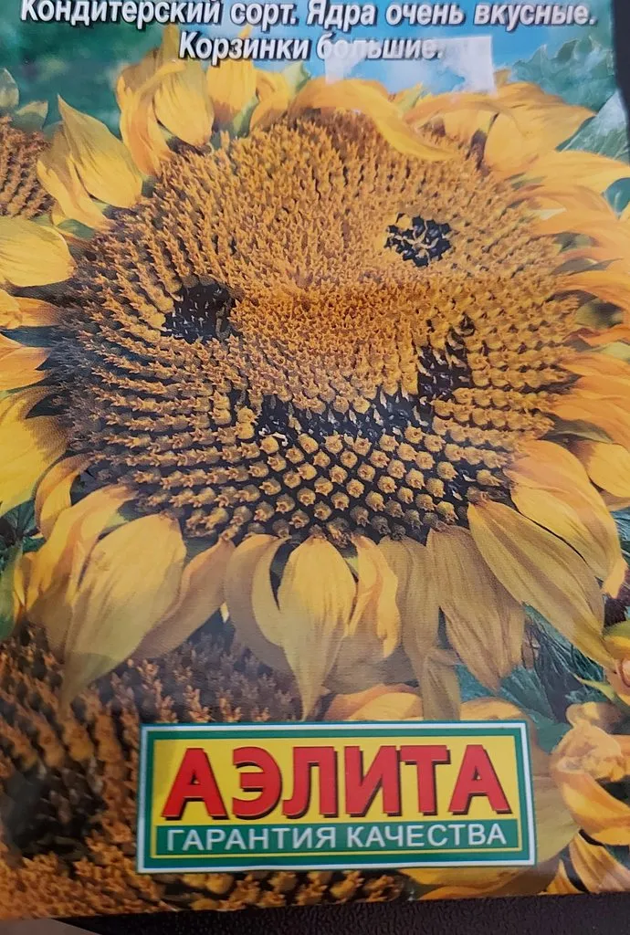 Tapтaлeтки & Ко