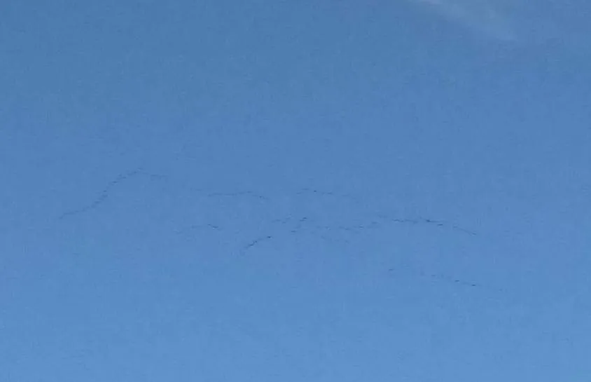 Чайная беседка