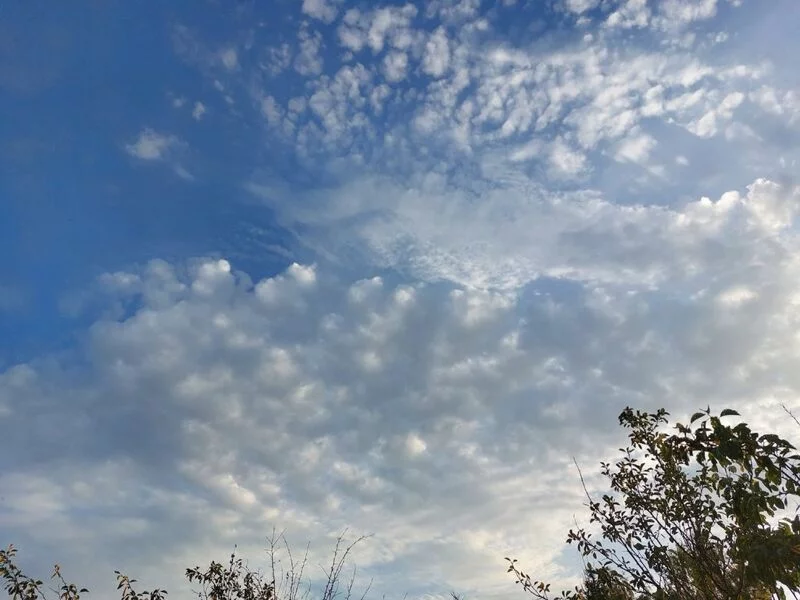 Такое разное небо