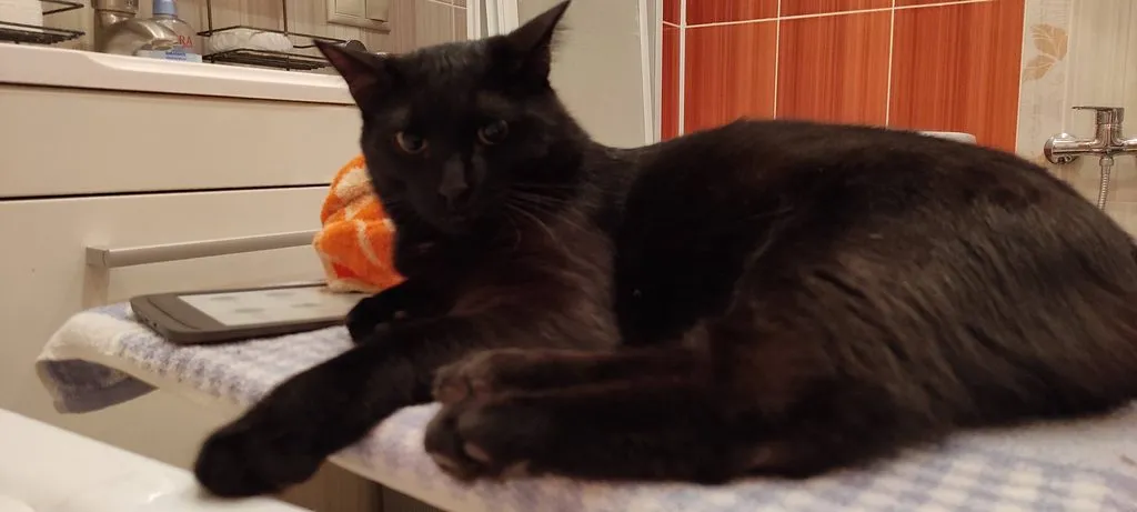 Чайная беседка