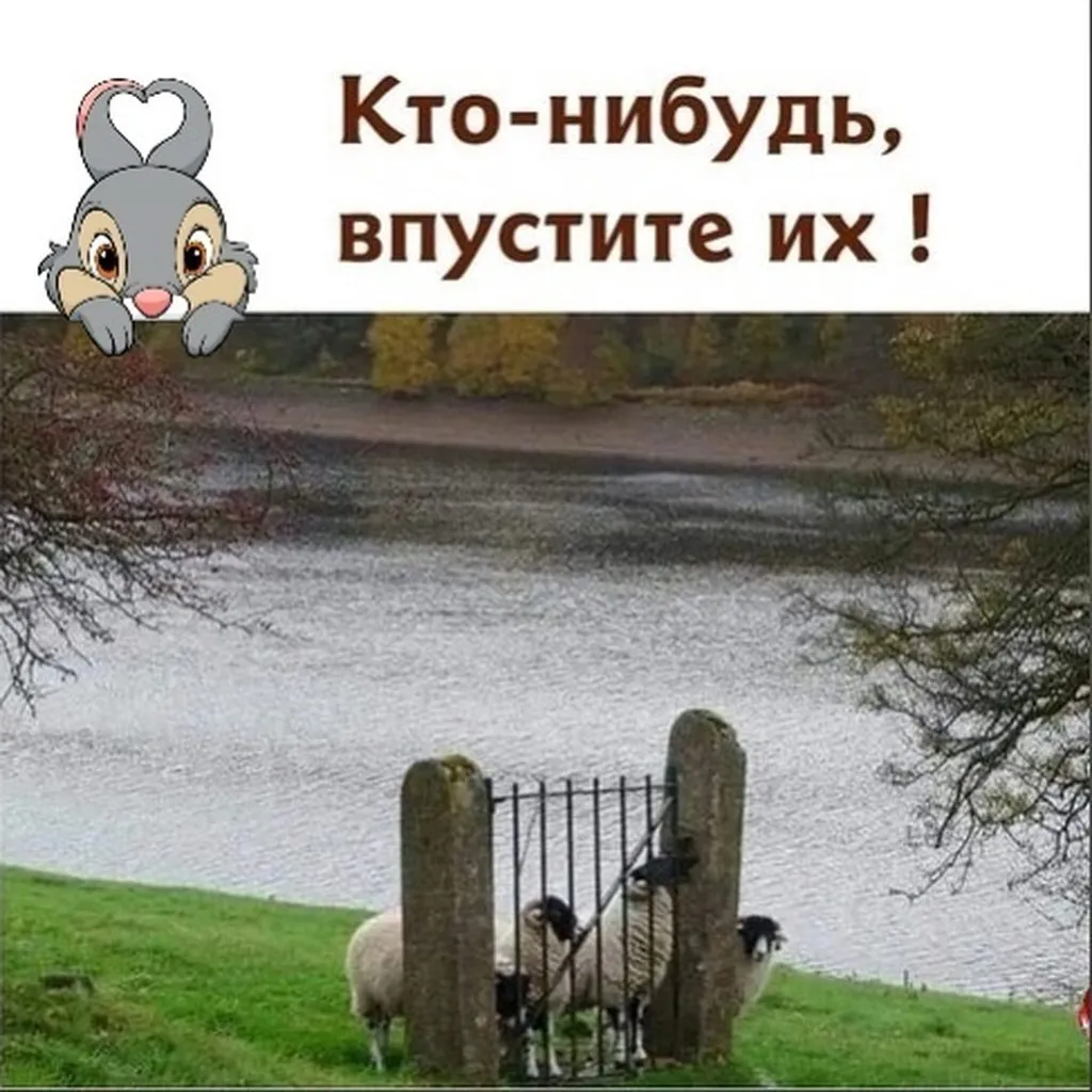 Посмеялся сам - поделись с другом!!!