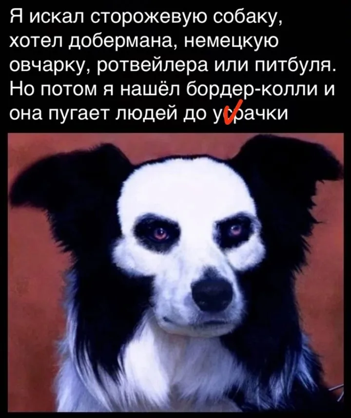 Посмеялся сам - поделись с другом!!!