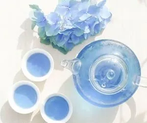 Чайная беседка