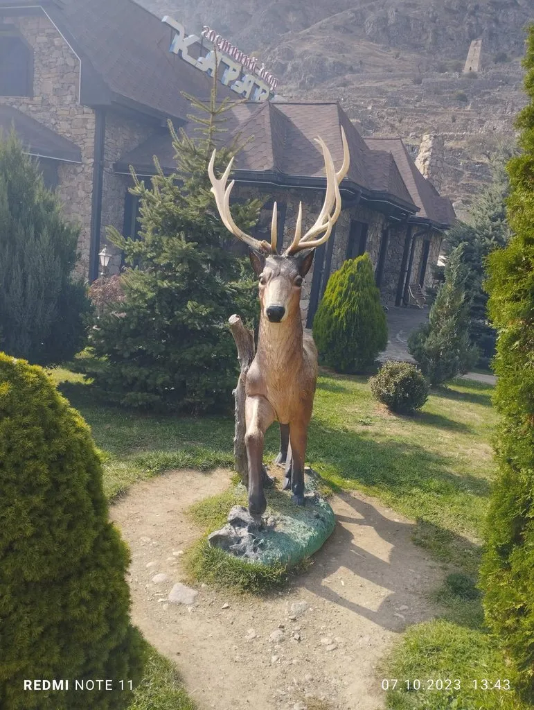 Чайная беседка