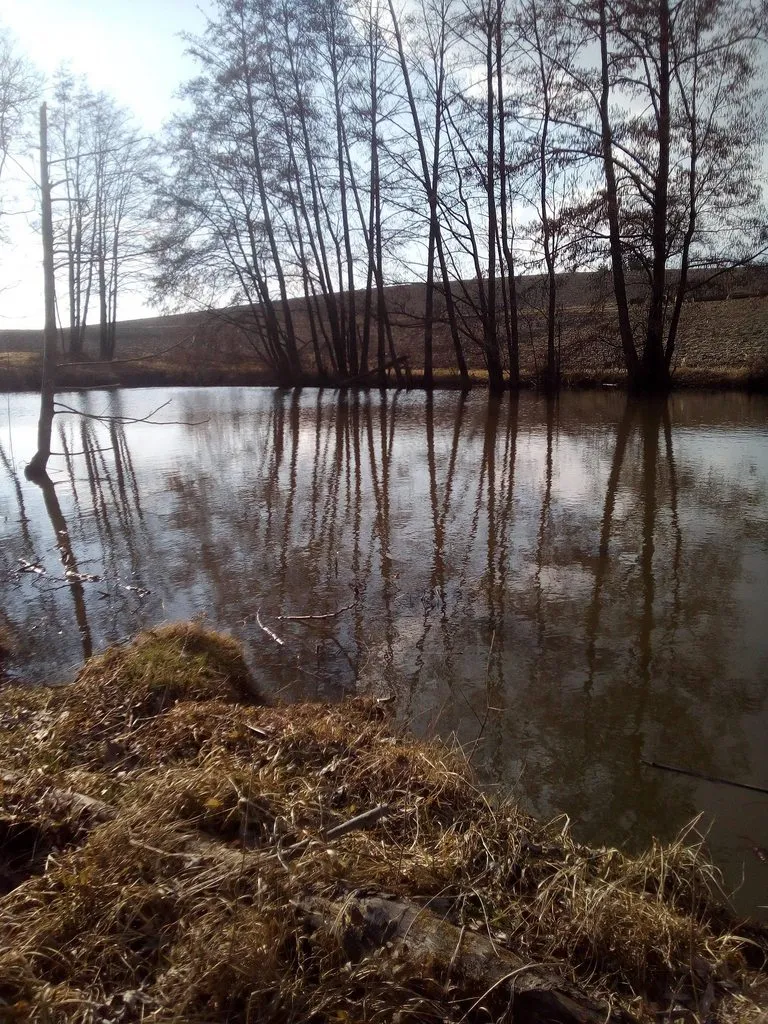 Чайная беседка