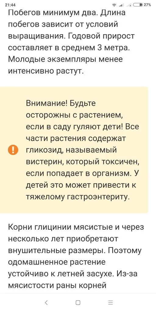 Кафе «У пани Сони»