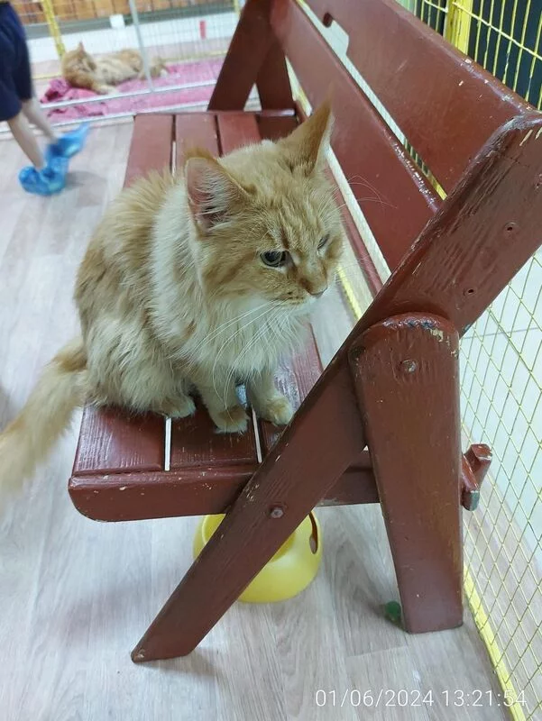 Чайная беседка