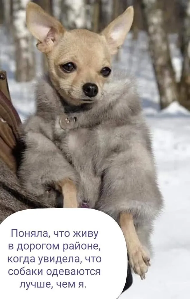 Посмеялся сам - поделись с другом!!!