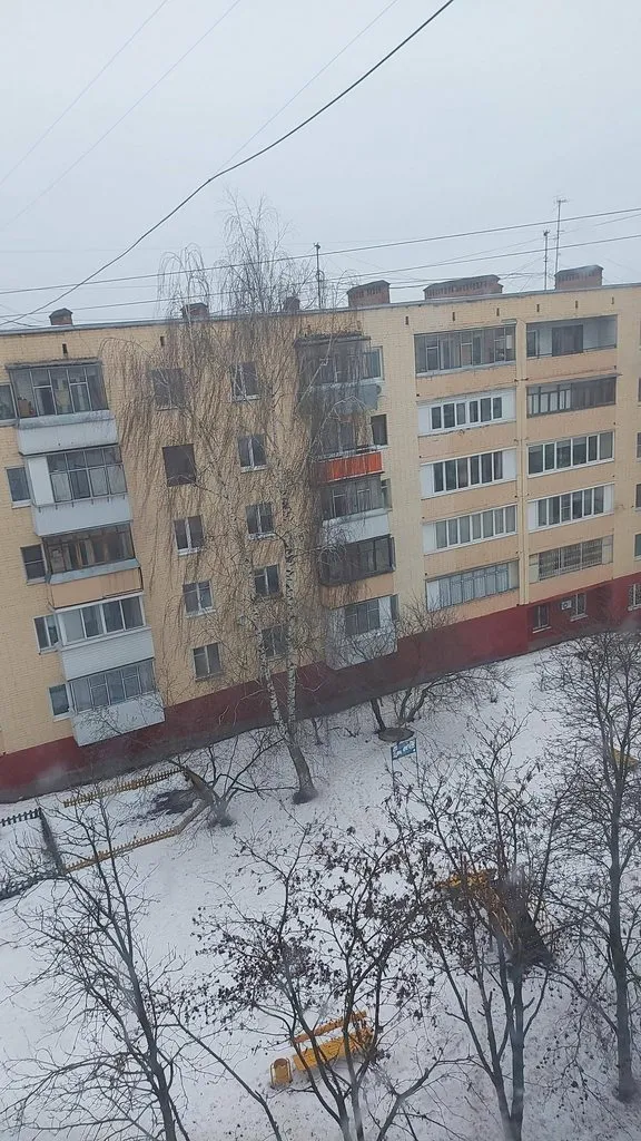 Tapтaлeтки & Ко