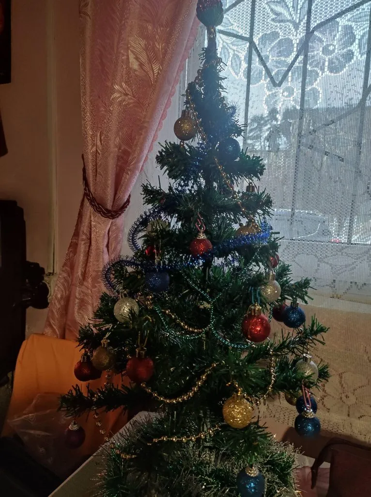 Похвастаемся елками!