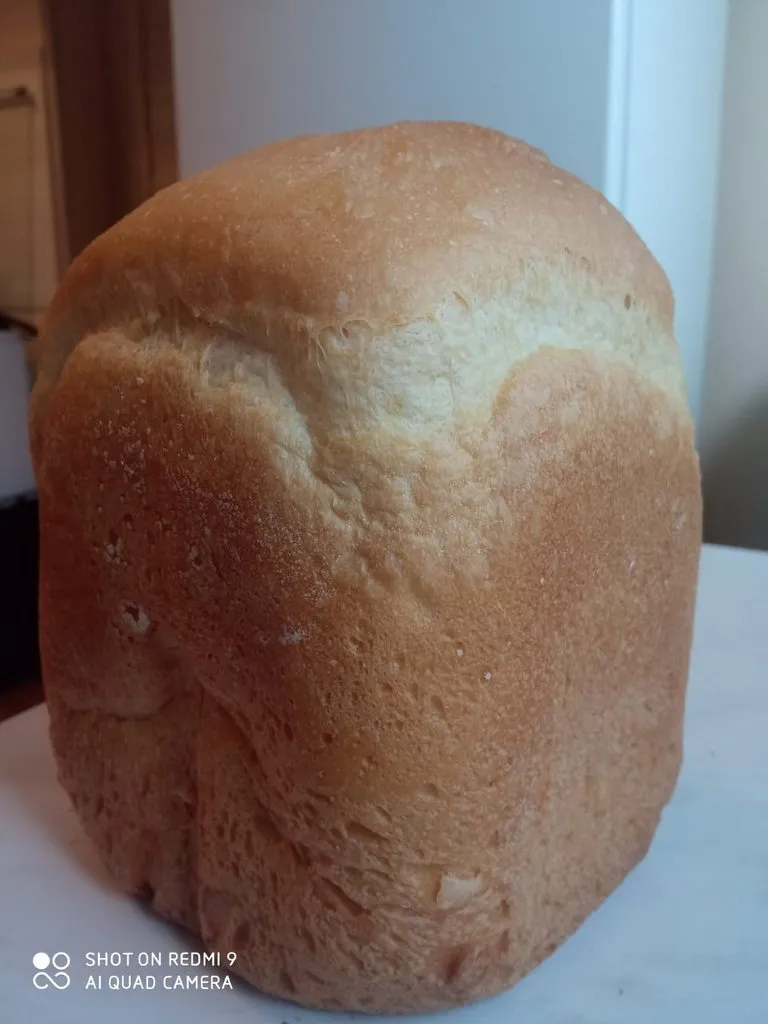 Хлебопечка HITACHI-B 301 (Bread Master)