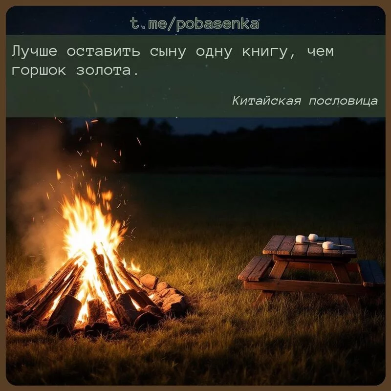 «Лучше оставить сыну одну книгу, чем горшок...» height="550" width="550"