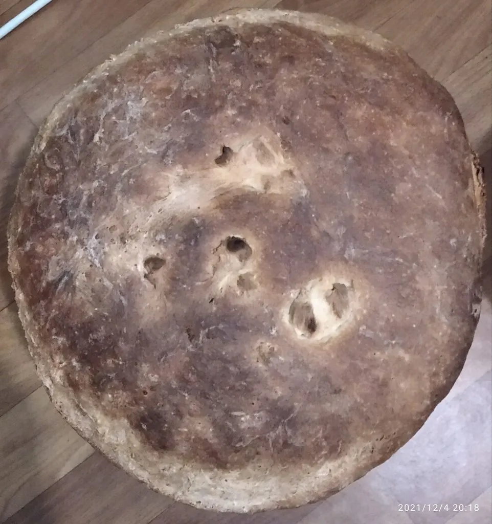 Tapтaлeтки & Ко