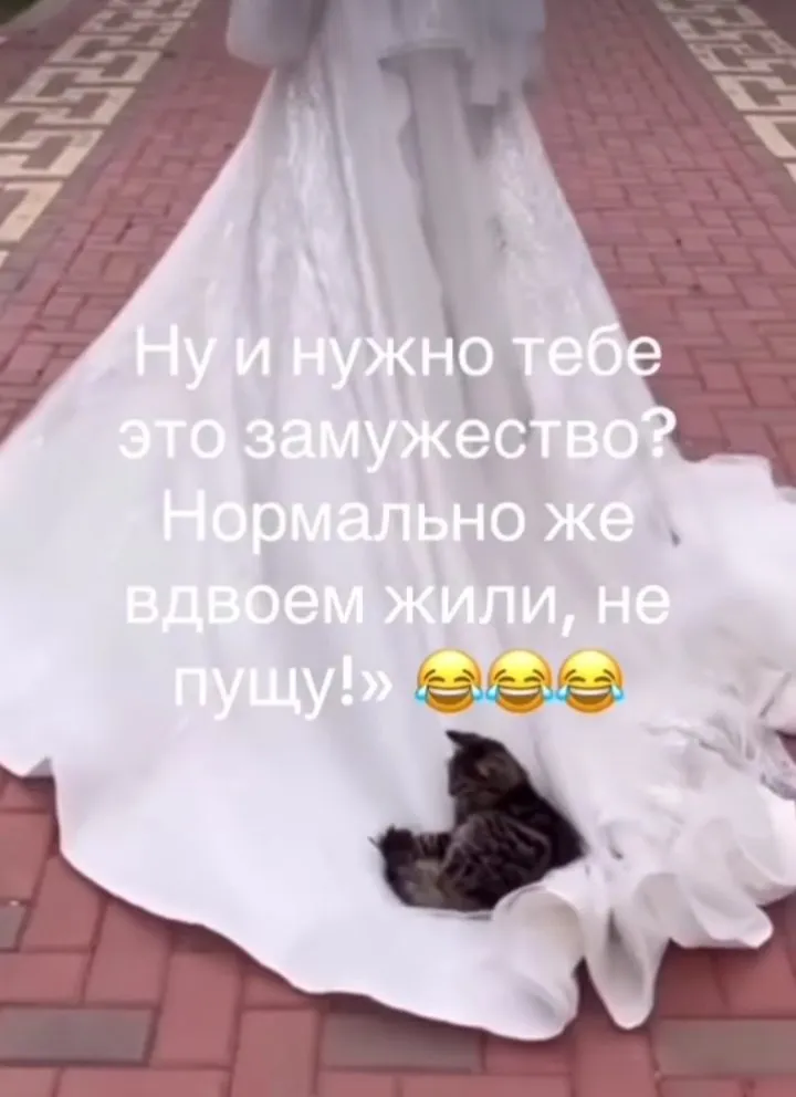 Посмеялся сам - поделись с другом!!!