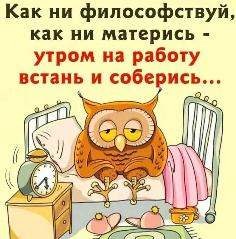 Позитивчик (фото, видео, рассказы для хорошего настроения)