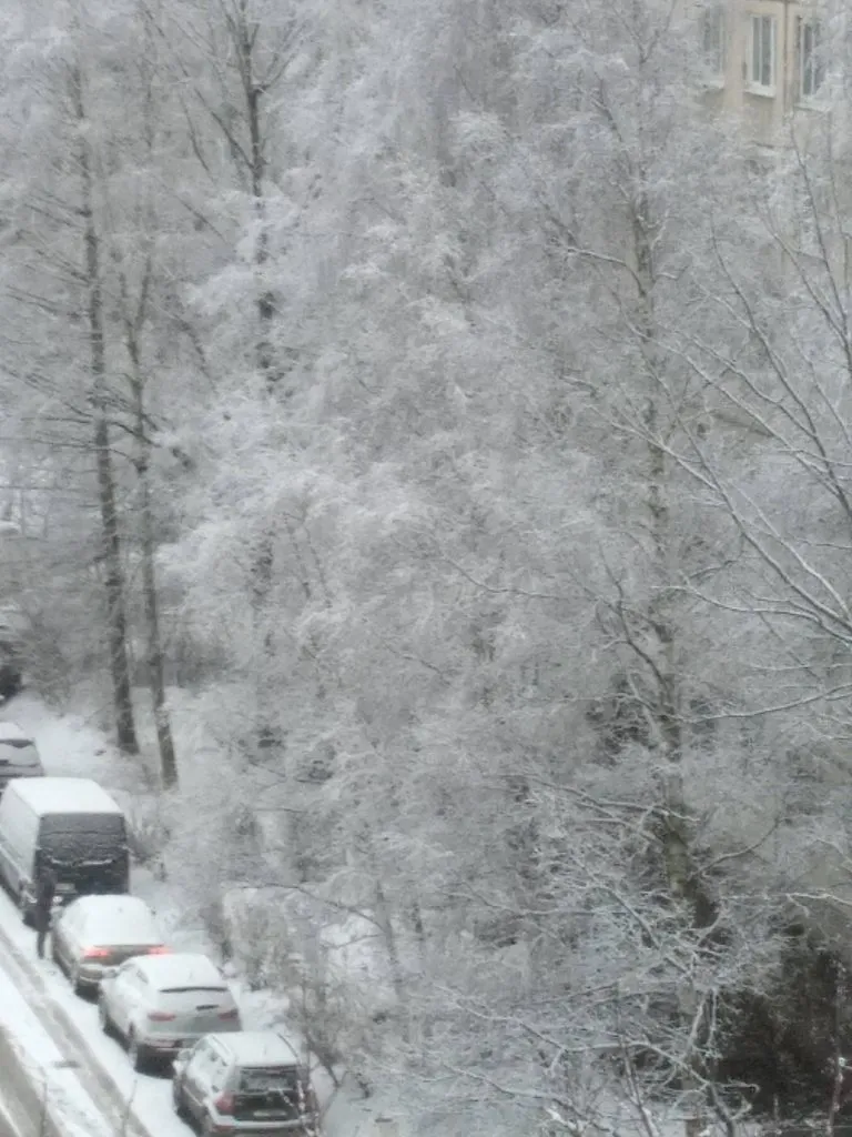 Tapтaлeтки & Ко