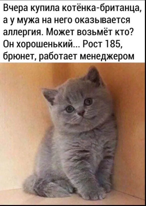 Посмеялся сам - поделись с другом!!!