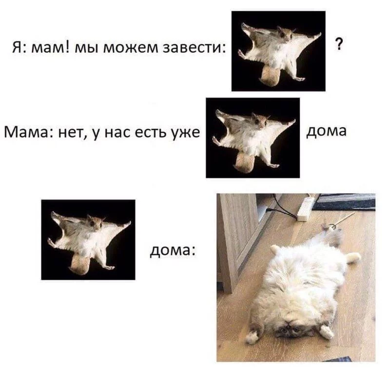 Посмеялся сам - поделись с другом!!!