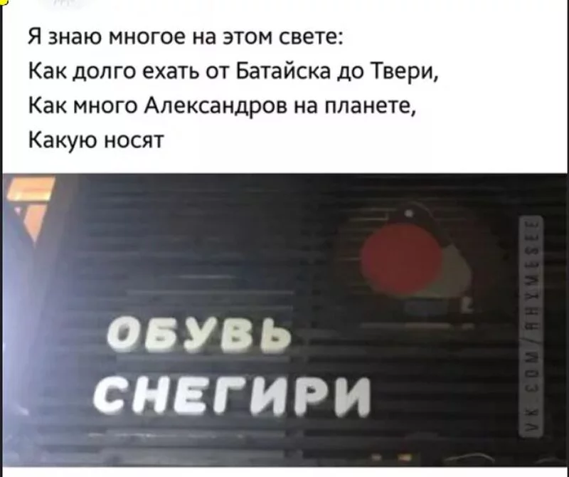 Всюду рифмы