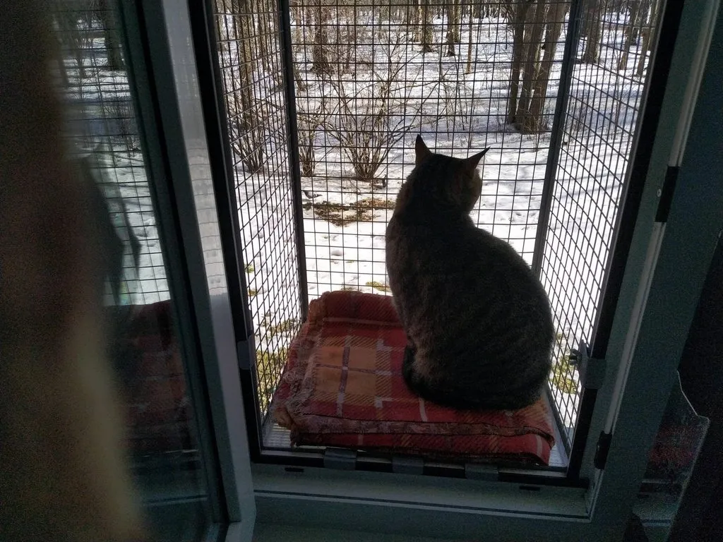 Кафе «У пани Сони»