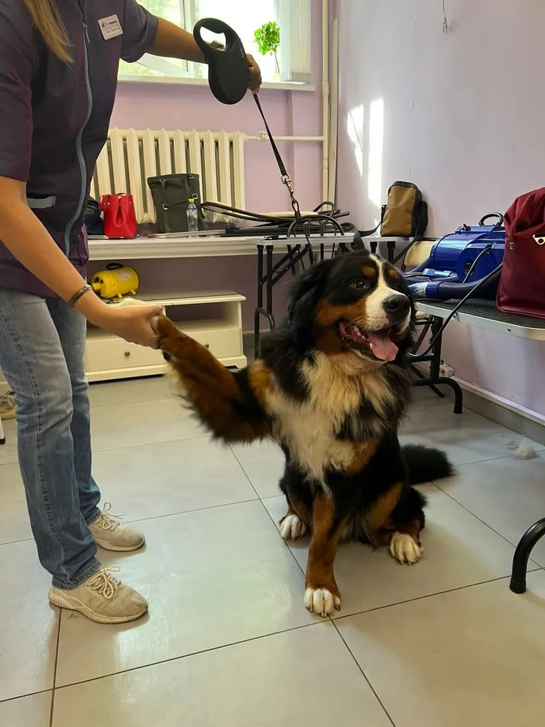 Чайная беседка