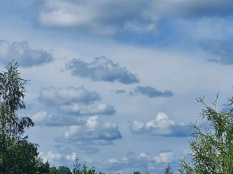 Такое разное небо