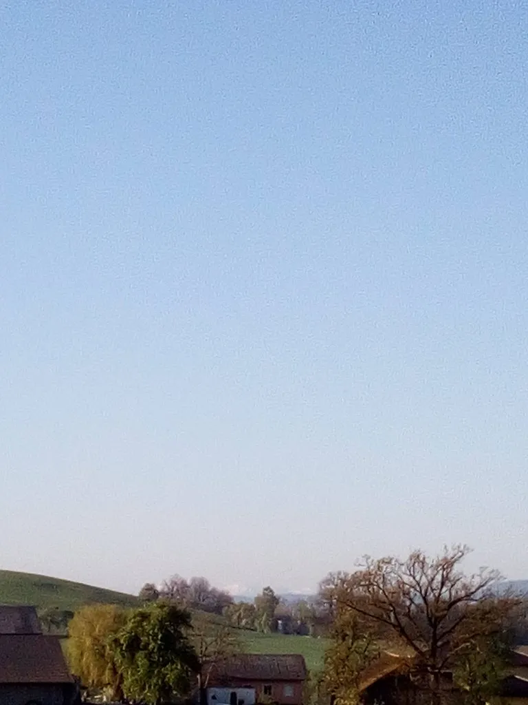 Чайная беседка