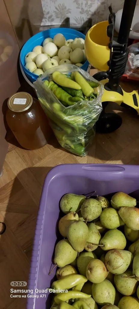 Чайная беседка