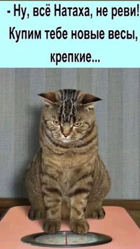 Посмеялся сам - поделись с другом!!!