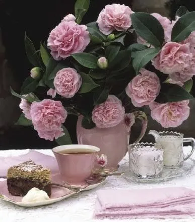 Чайная беседка