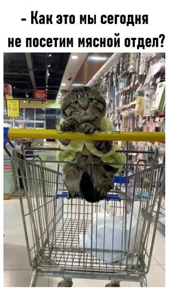 Кошичкина полиция