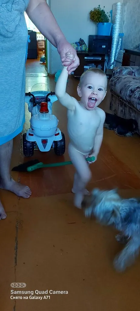 Tapтaлeтки & Ко