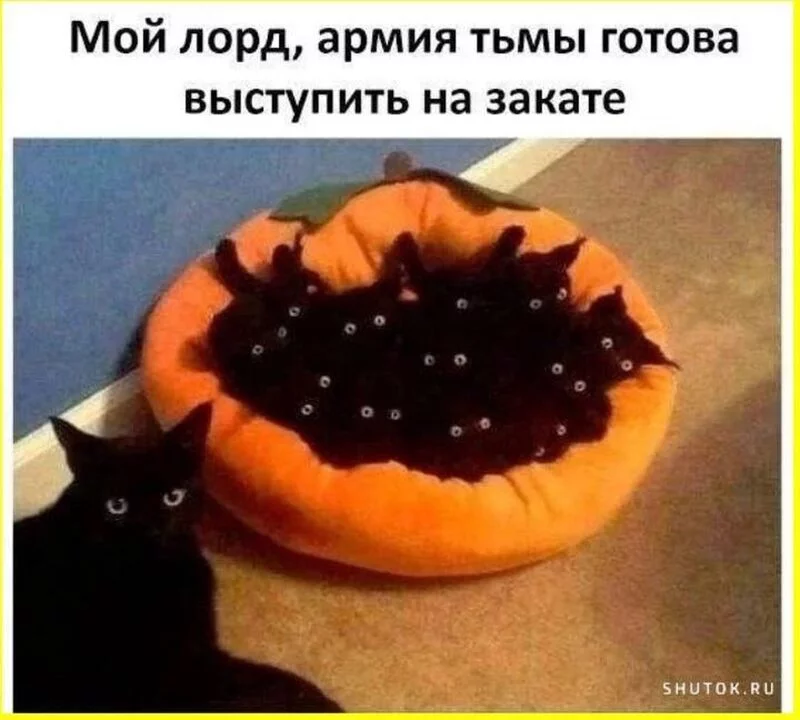 Посмеялся сам - поделись с другом!!!