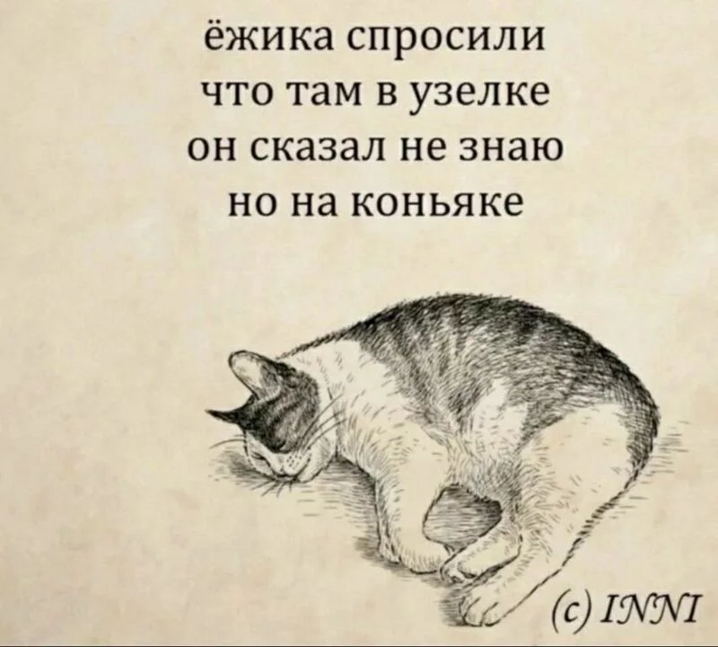 Посмеялся сам - поделись с другом!!!
