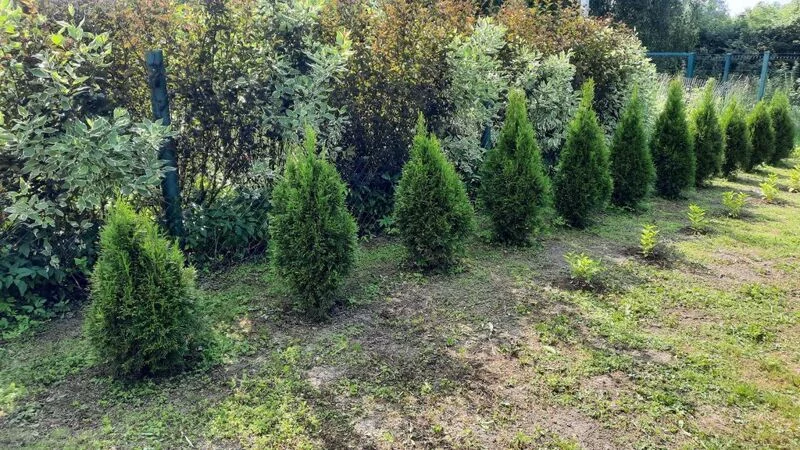 Загородная жизнь - обустройство на своей земле во всем ее разнообразии
