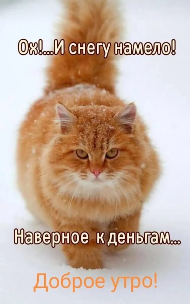 Можно ли прожить на одну пенсию? (расчеты)