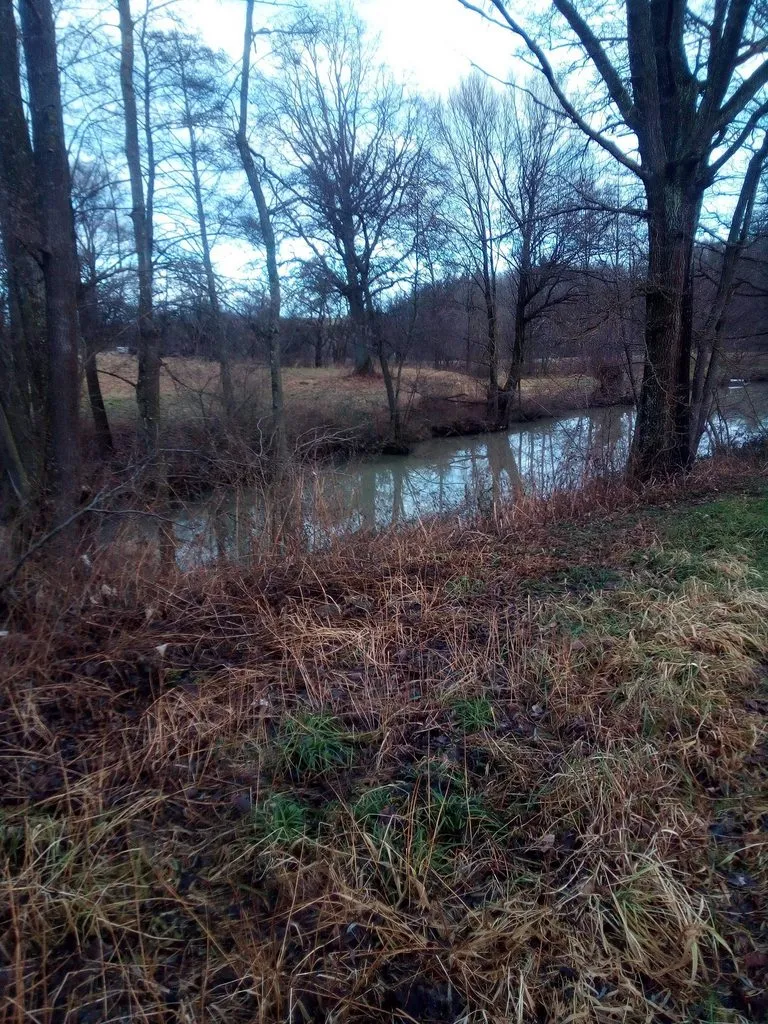 Tapтaлeтки & Ко