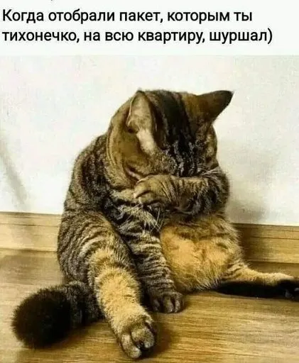 Позитивчик (фото, видео, рассказы для хорошего настроения)