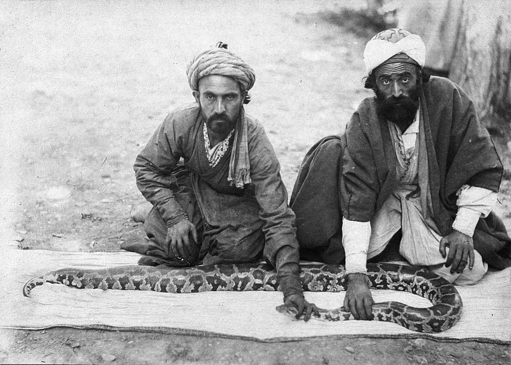 Запечатленная история