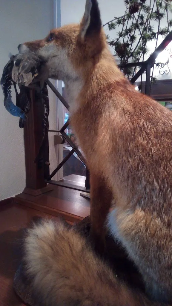 Чайная беседка