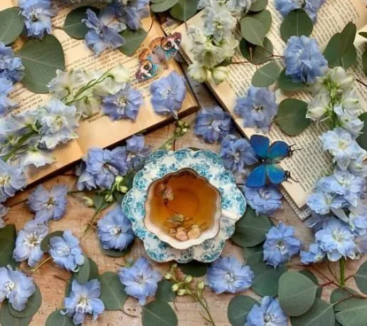 Чайная беседка