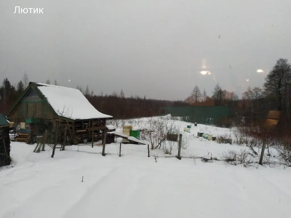 Кафе «У пани Сони»