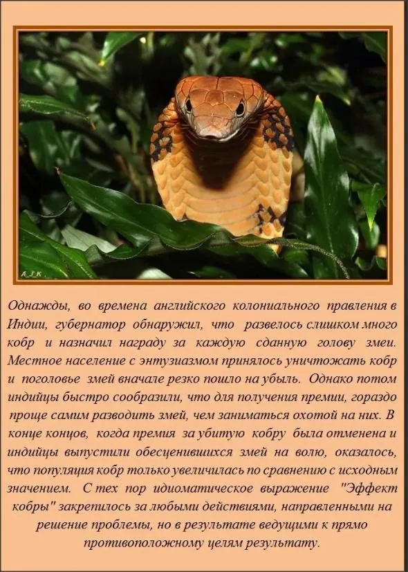 Это интересно!
