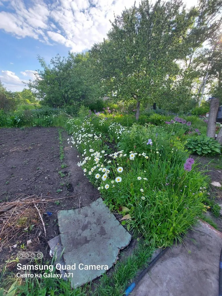 Чайная беседка