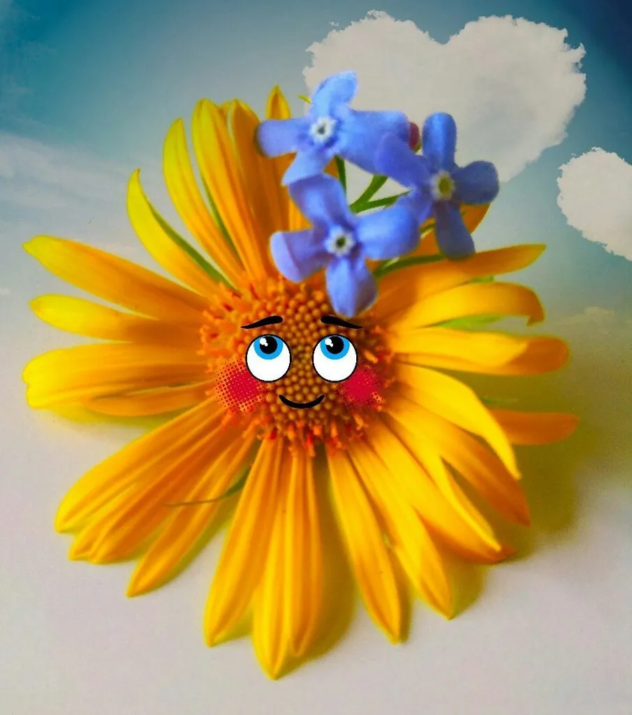 Кафе «У пани Сони»