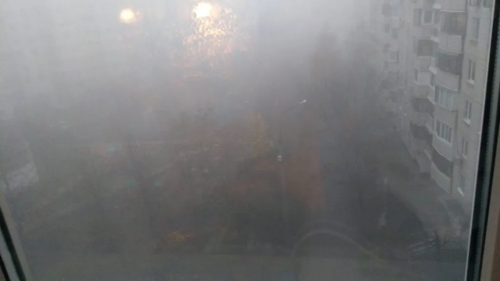 Tapтaлeтки & Ко