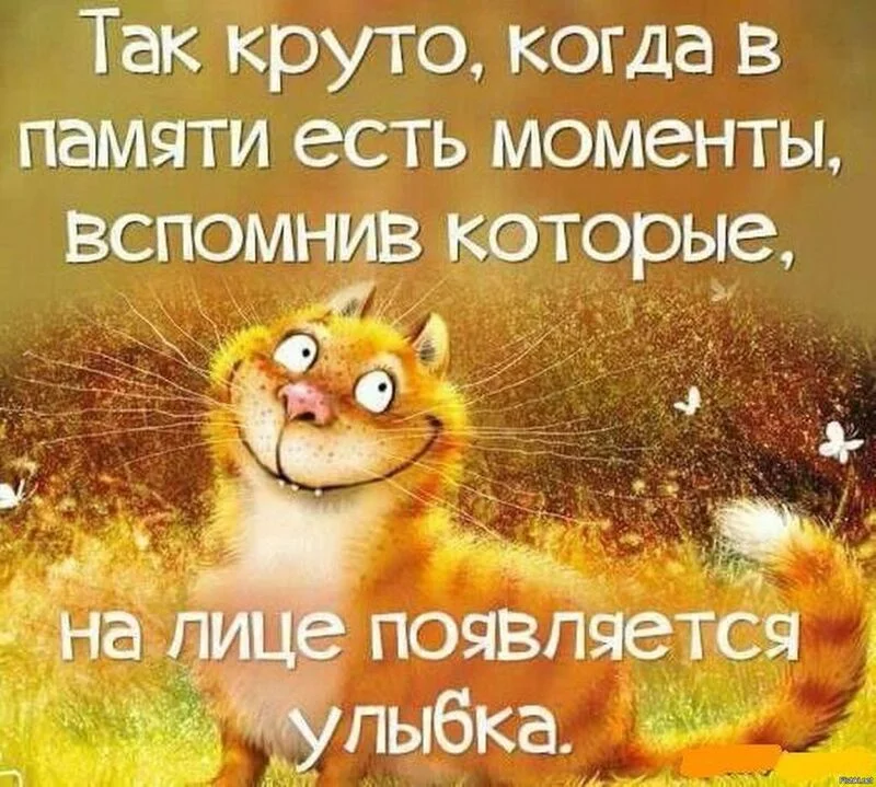 Позитивчик (фото, видео, рассказы для хорошего настроения)