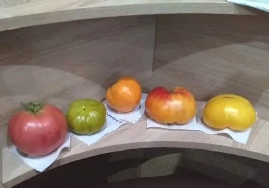 Чайная беседка