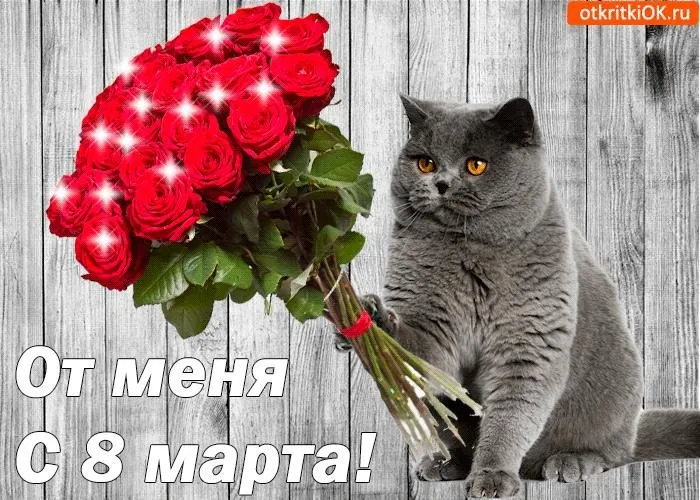 Tapтaлeтки & Ко